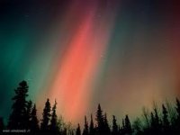 imagesCANV584N.jpg